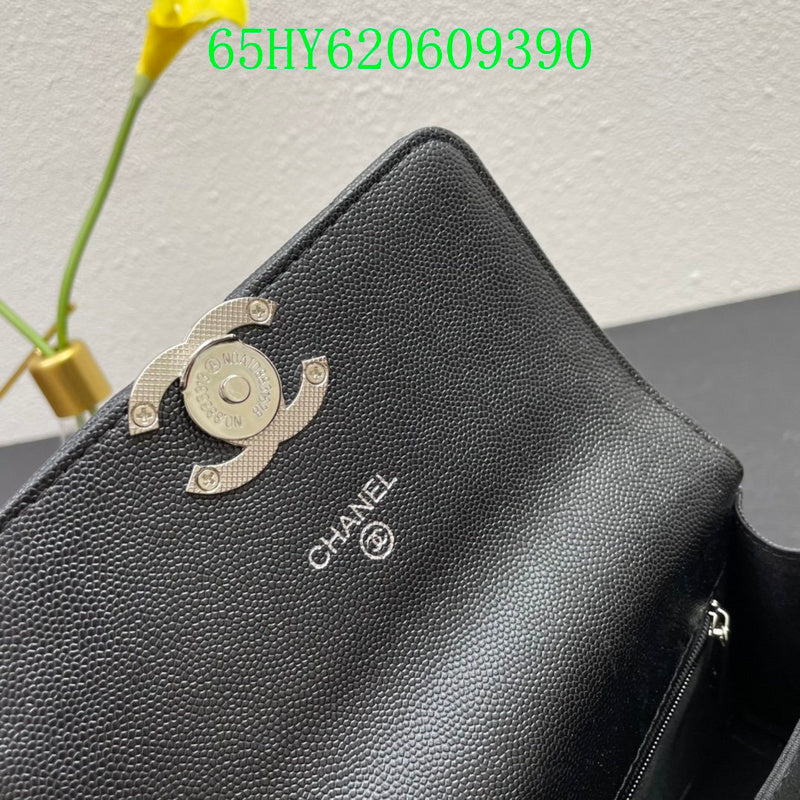 Glami - CHL Bags - 2653