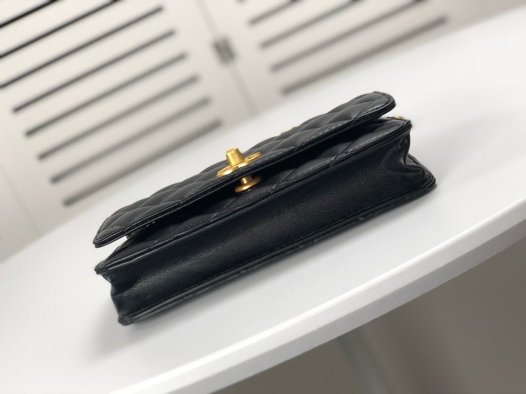 EN - New Arrival Bags CHL 221