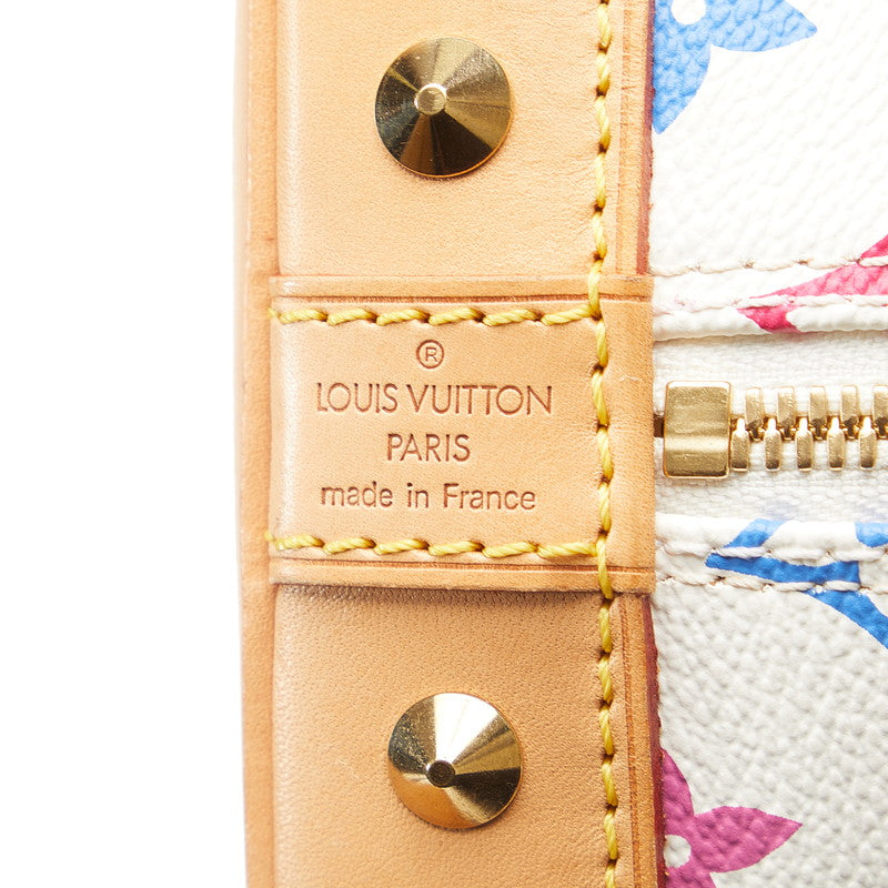 Louis Vuitton Multicolor Alma Handbag M92647
