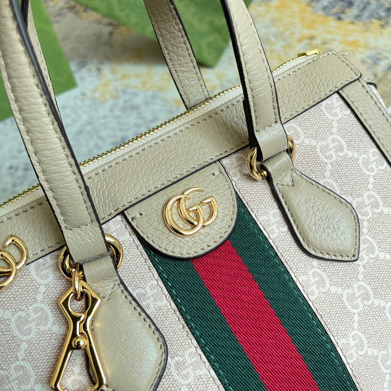 Gucci Luxury Fashion Bag