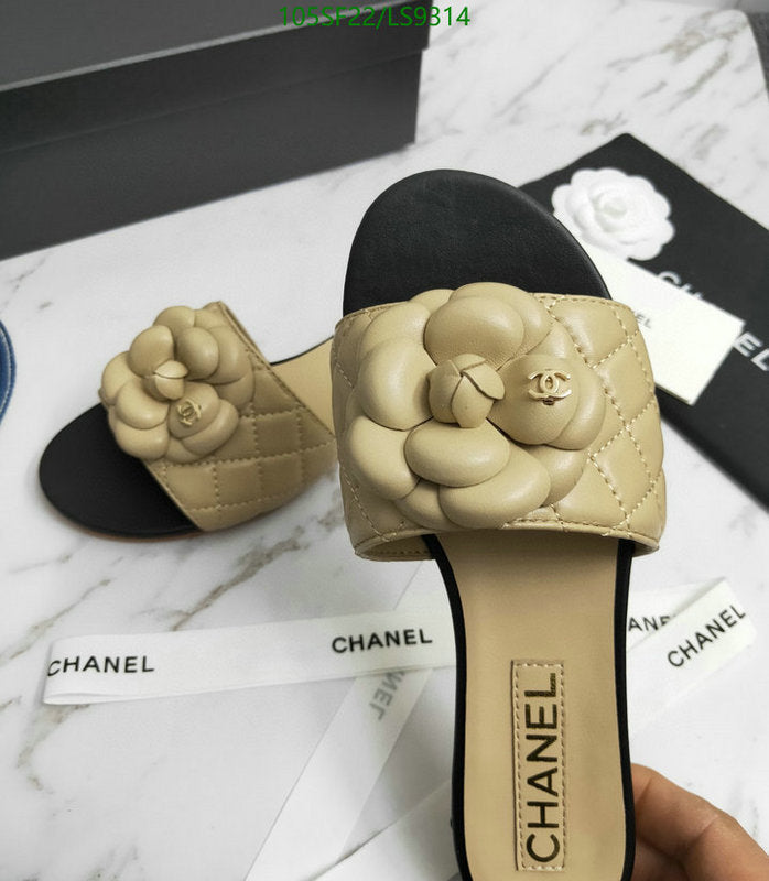 SAMC - CHL Women Shoes Slippers - 256