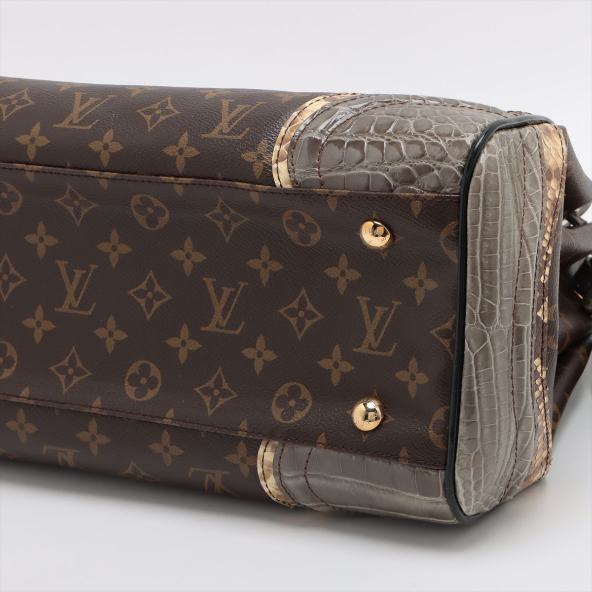 Louis Vuitton Monogram Exotic  GM