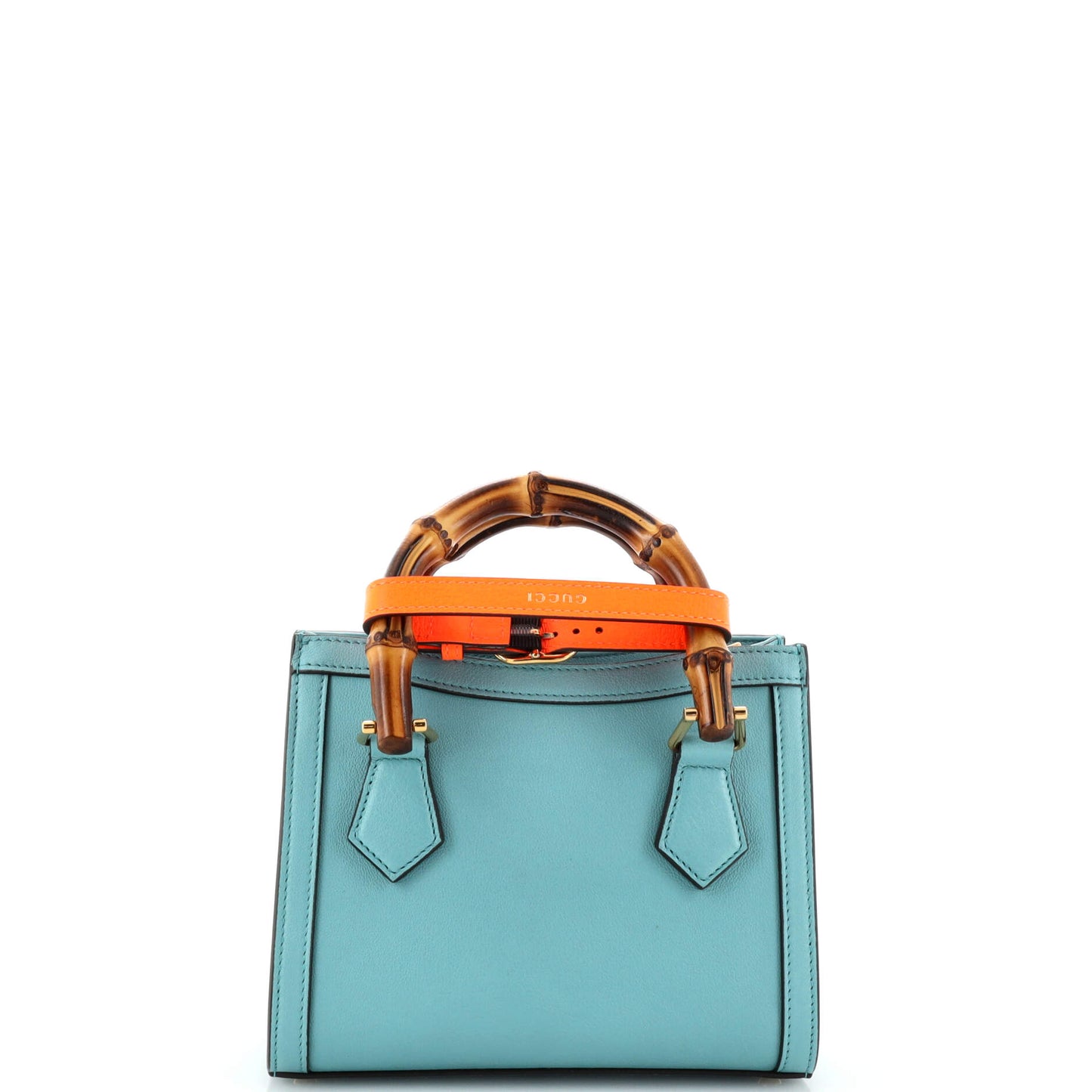 Diana NM Bamboo Handle Tote Leather Mini