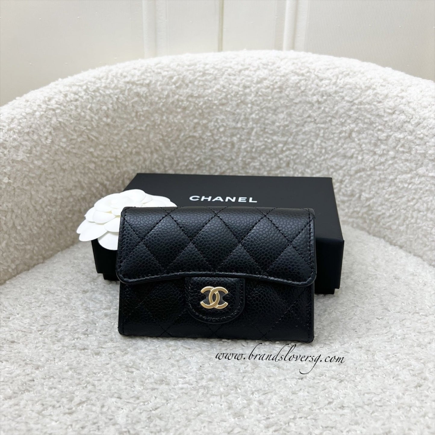 GLM-Classic Snap Card Holder in Black Caviar and GHW