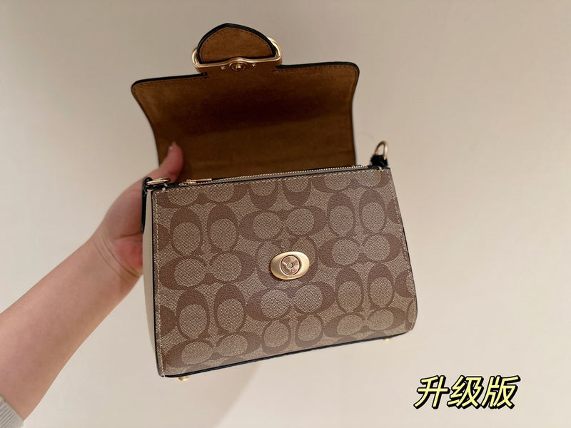 Satchel Bags - CCH Bags - 402