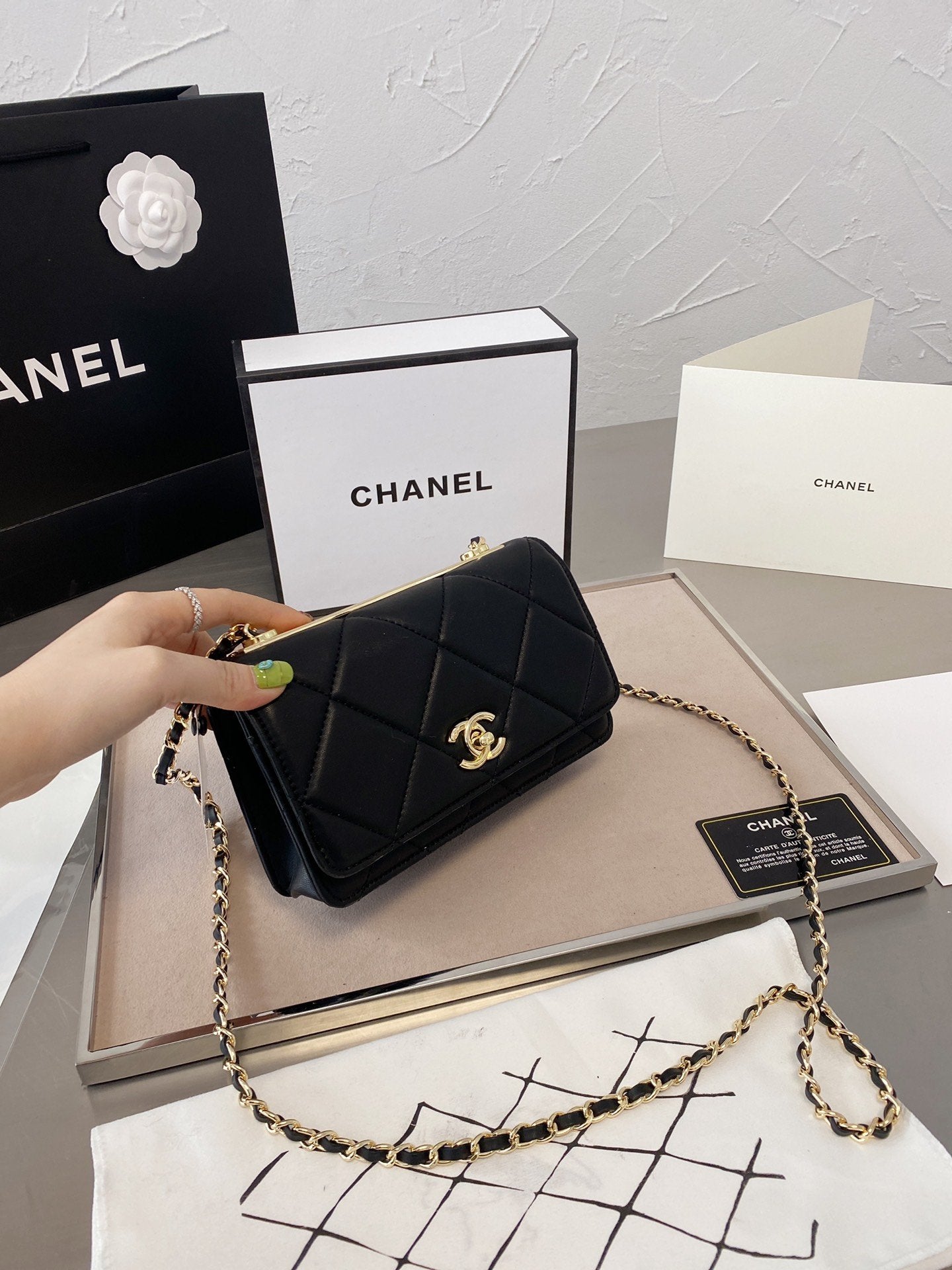 EN - New Arrival Bags CHL 054