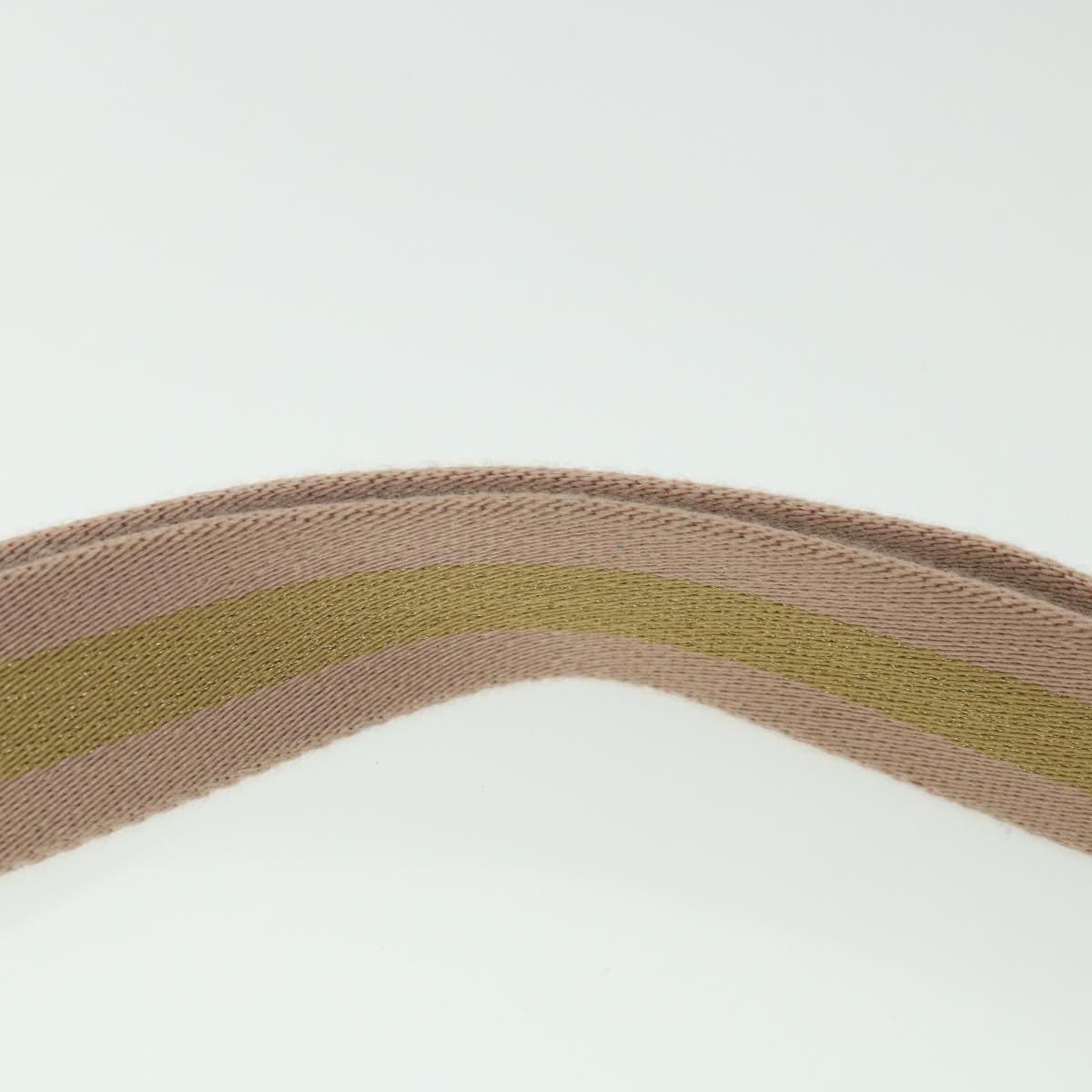 GUCCI GG Canvas Sherry Line Waist bag Beige Pink gold 28566 ep1849