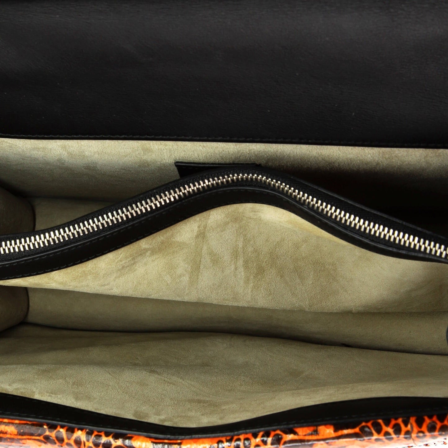 Dionysus Bag Embroidered GG Coated Canvas with Python Medium