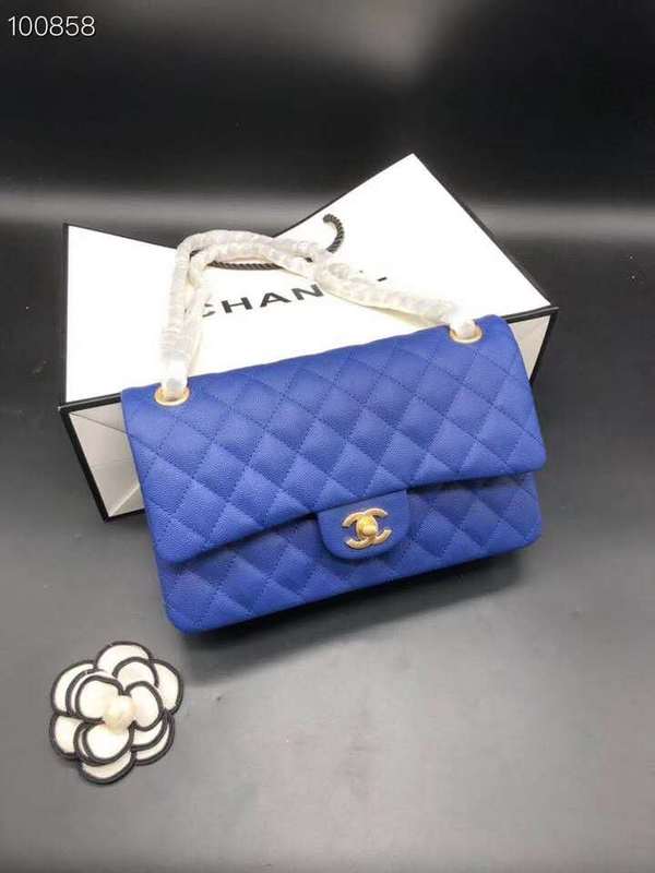 Satchel Bags - CHL Bags - 770