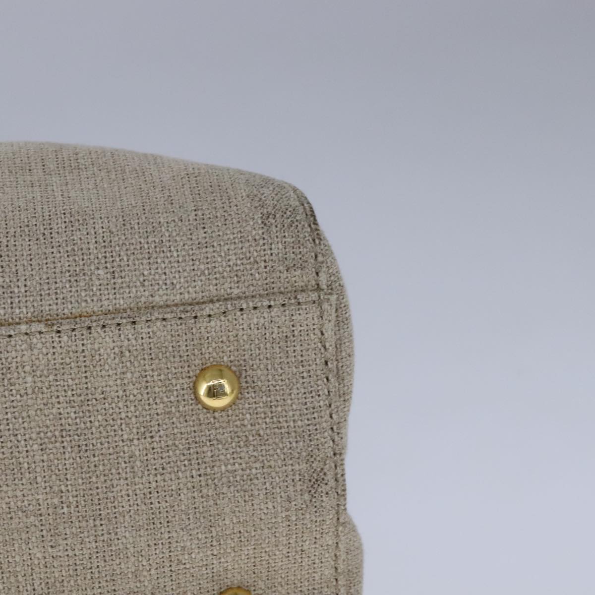 FENDI Chameleon Bag Hand Bag Canvas 2way Beige hk1927