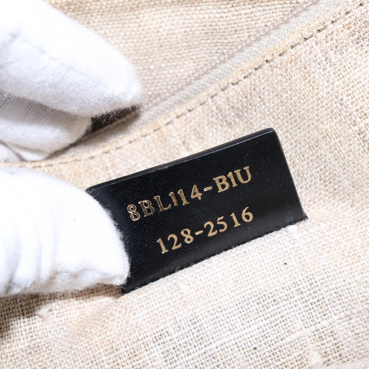 FENDI Chameleon Bag Hand Bag Canvas 2way Beige hk1927