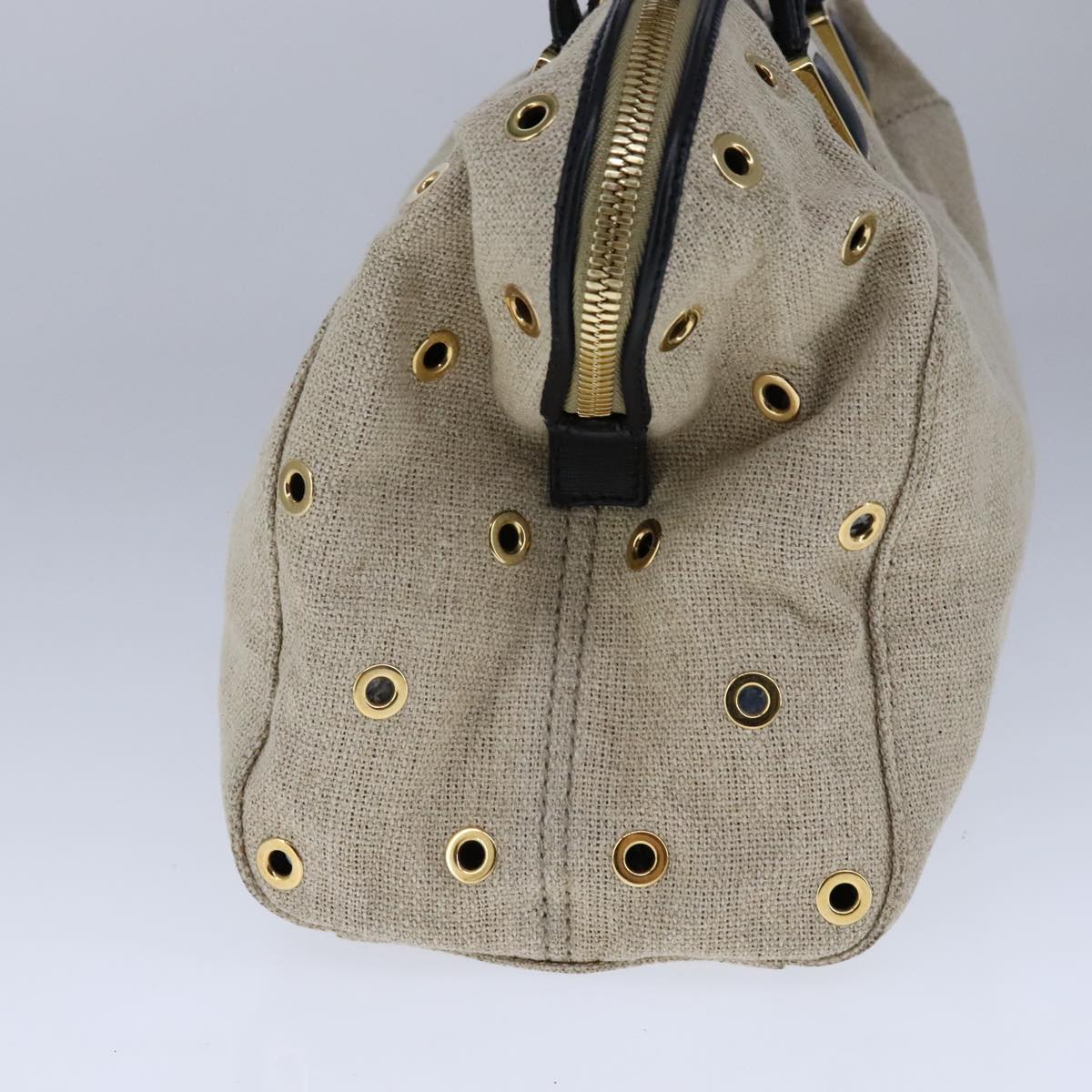 FENDI Chameleon Bag Hand Bag Canvas 2way Beige hk1927