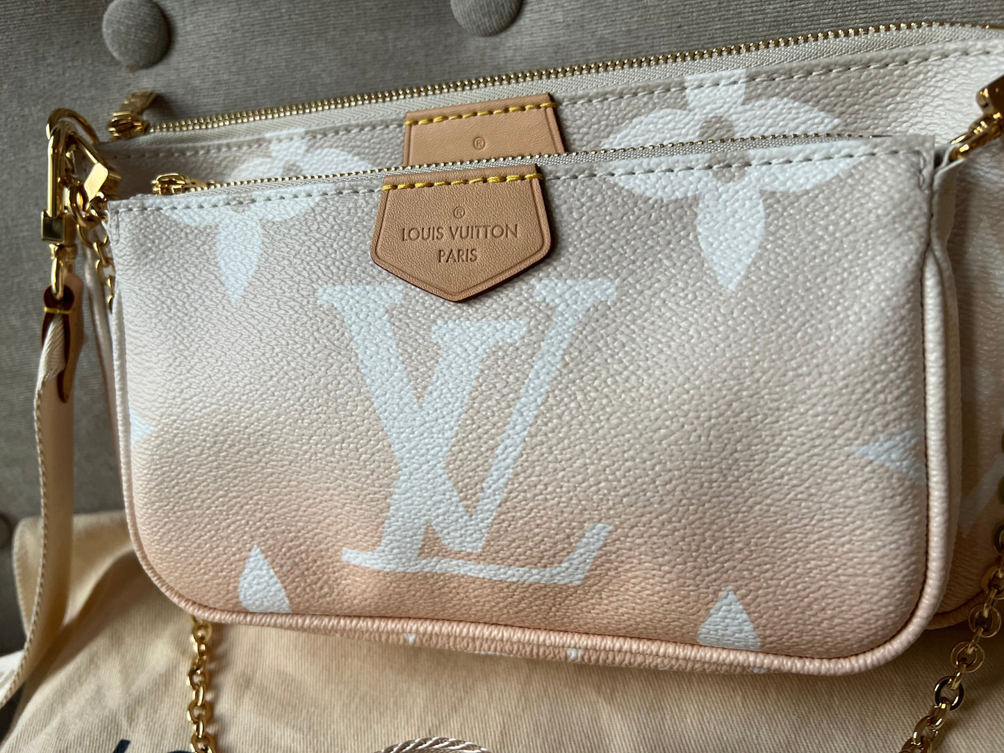 Louis Vuitton Multi Pochette Accessoires Summer By the Pool Limited Edition