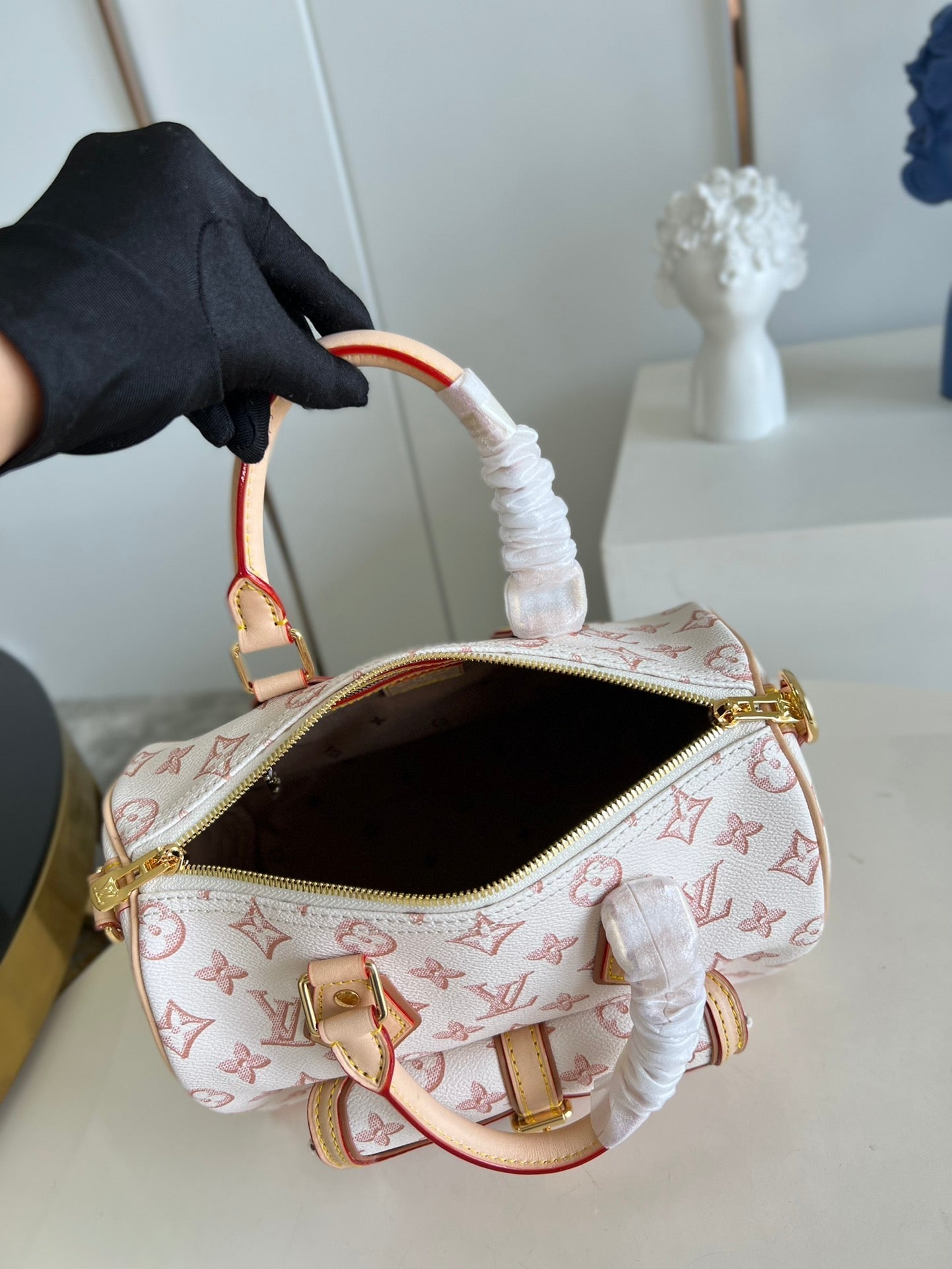 Louis Vuitton Speedy Bandoulière 25 Bag