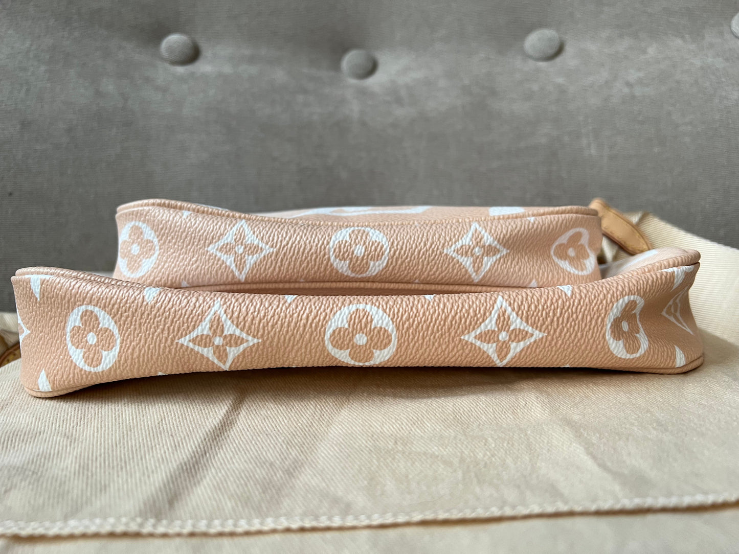 Louis Vuitton Multi Pochette Accessoires Summer By the Pool Limited Edition
