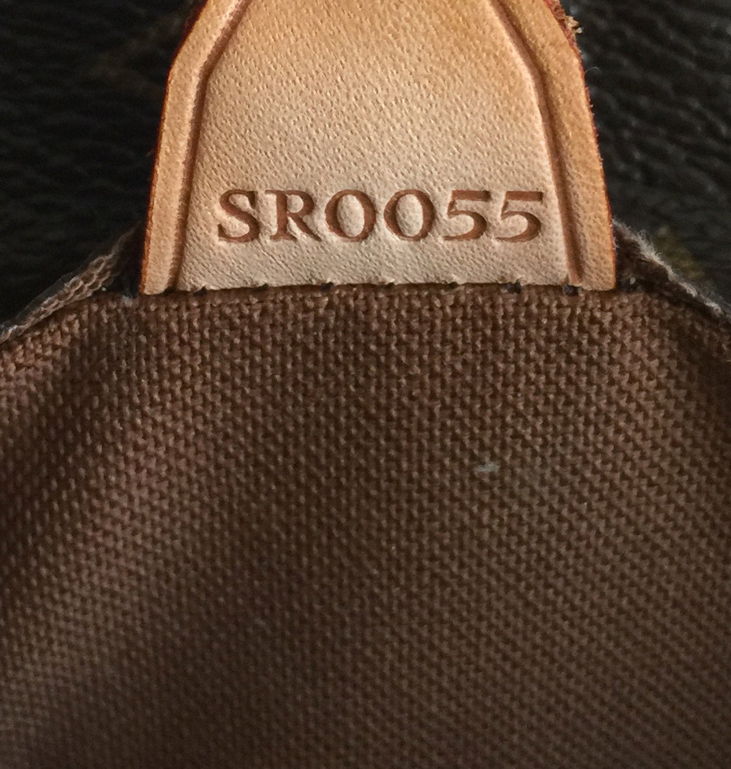 Louis Vuitto Vavin GM Monogram Canvas Tote Bag