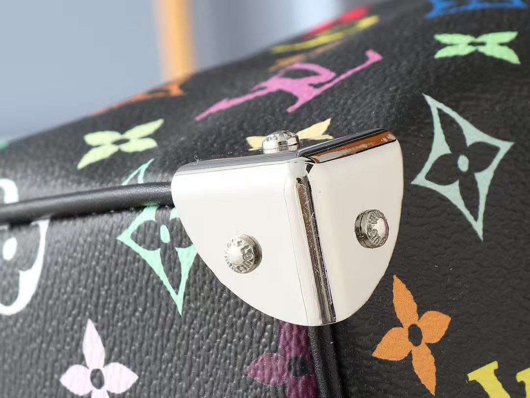 Lv Speedy Soft 30 LV x TM Bag