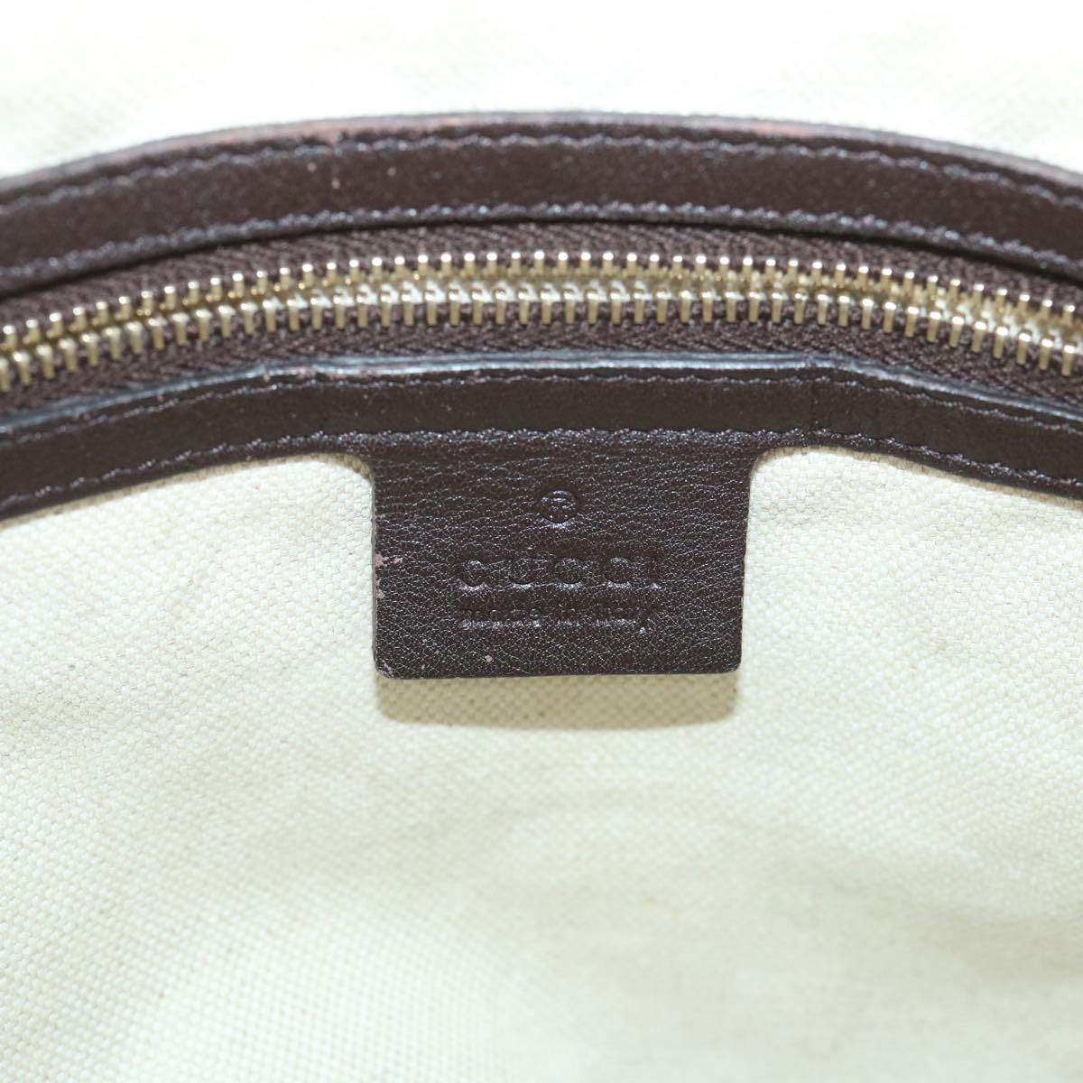 GUCCI GG Canvas Guccissima Shoulder Bag 2way Brown 353120 th4019