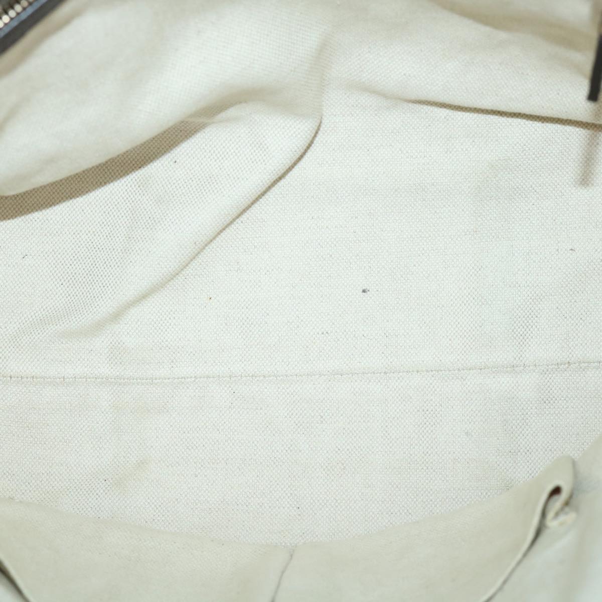 GUCCI GG Canvas Guccissima Shoulder Bag 2way Brown 353120 th4019