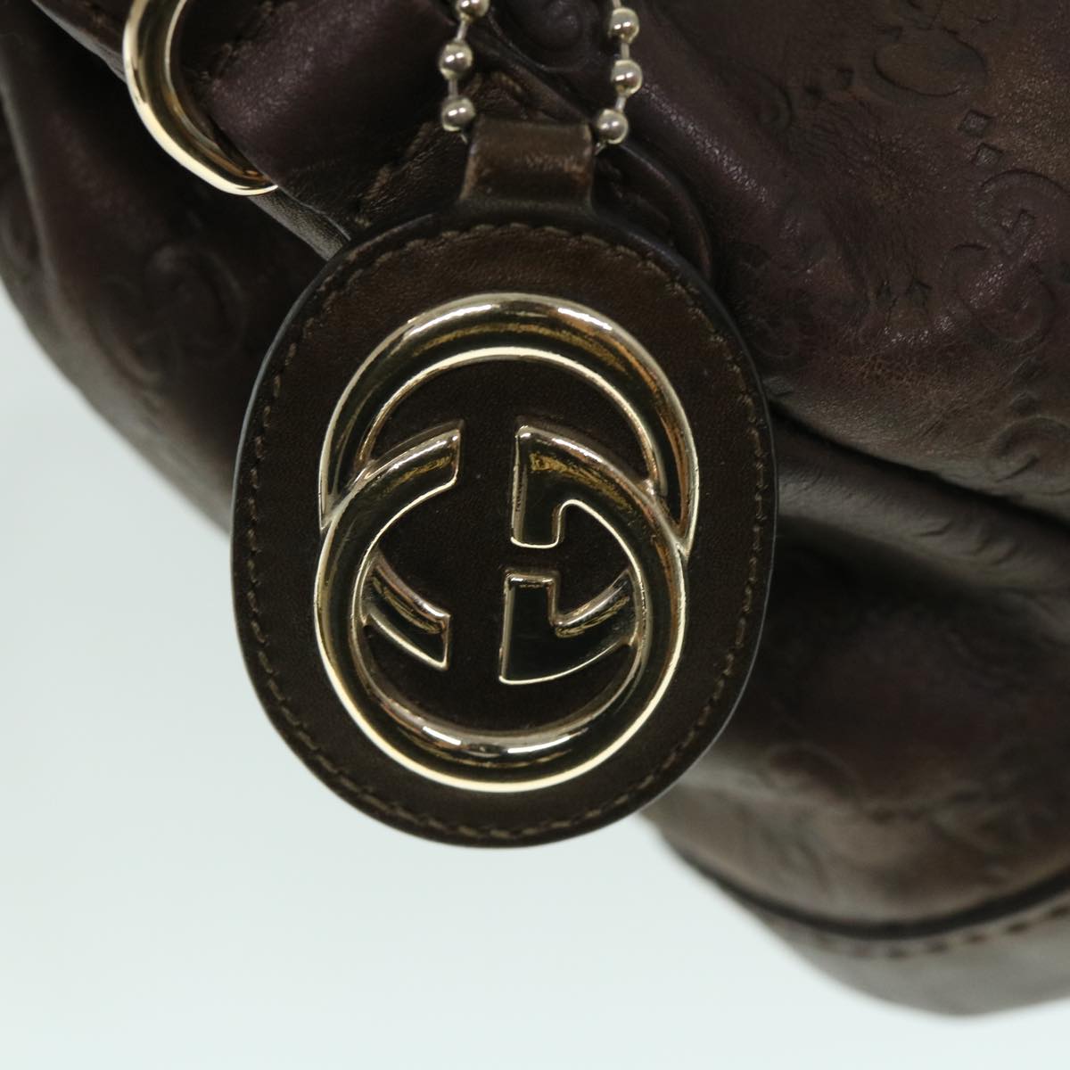 GUCCI GG Canvas Guccissima Hand Bag 2way Brown 247902 th4024