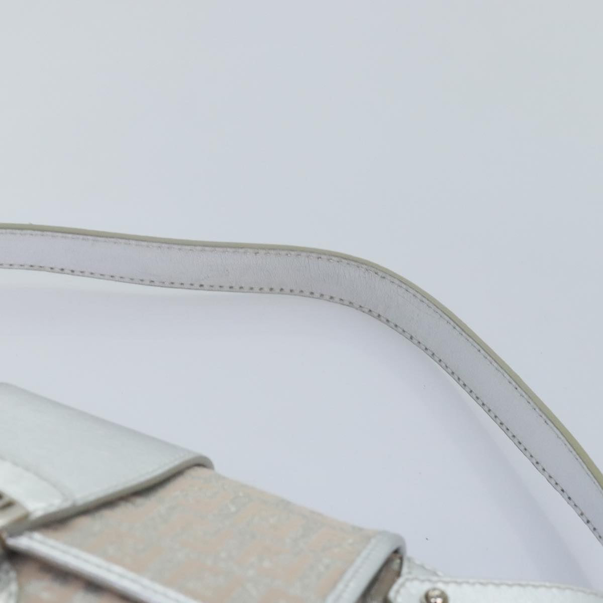 FENDI Zucchino Canvas Hand Bag Silver Black yk14936