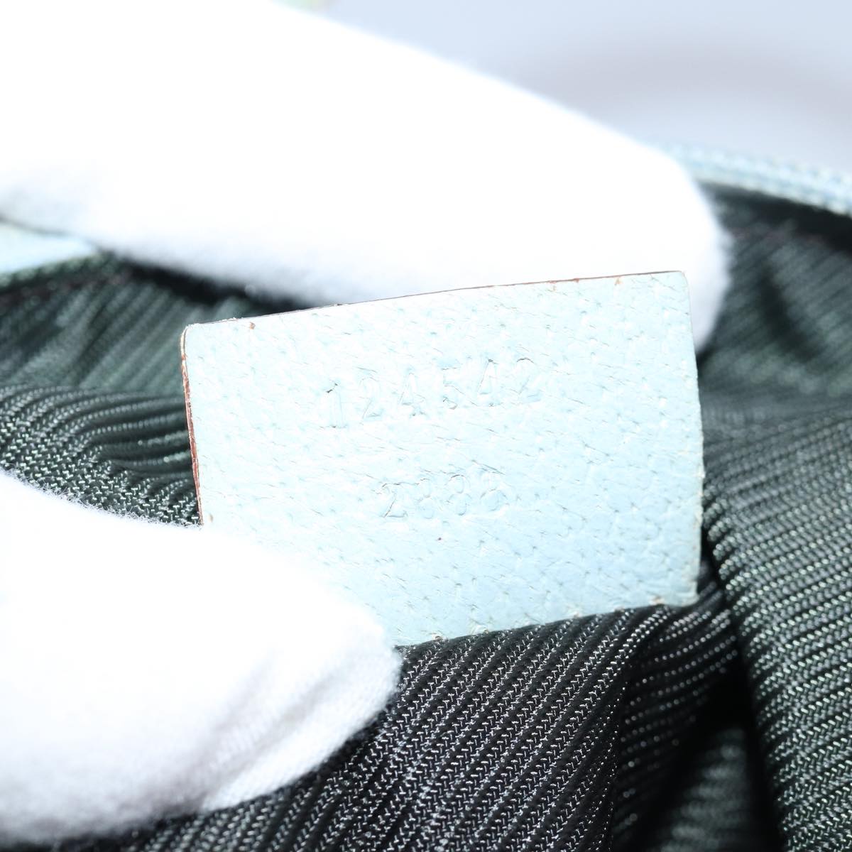 GUCCI GG Canvas Hand Bag Beige Light Blue 124542 yt1006